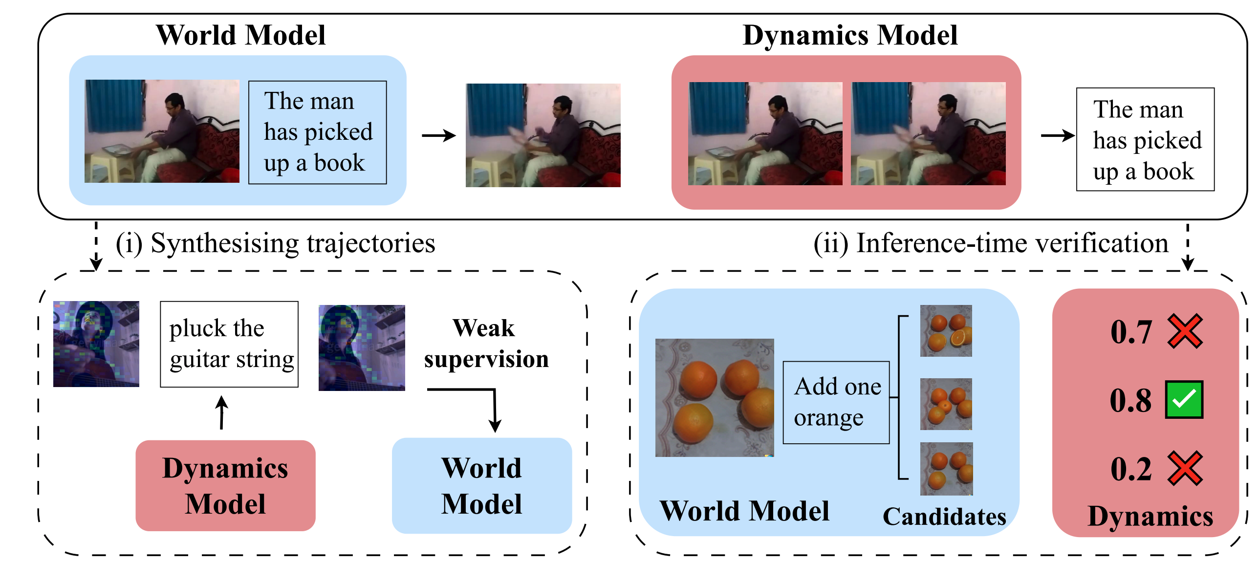 Bootstrapping Action-Grounded Visual Dynamics in Unified Vision-Language Models